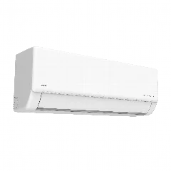 IX21E