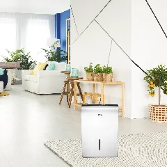 Deshumidificador X11 Ambiente