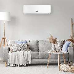 IX75B Ambiente