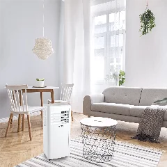 Portatil P39 Ambiente