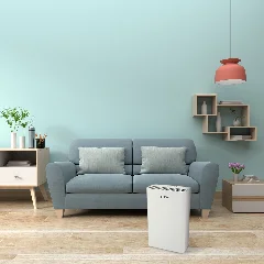 Purificador Clean Ambiente