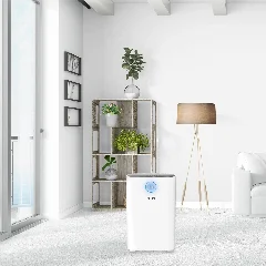 Purificador Space Plus Ambiente